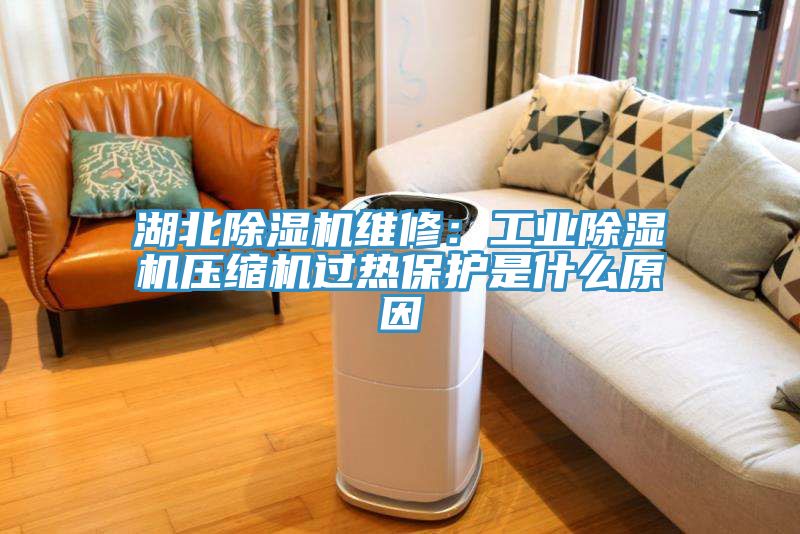 湖北除濕機維修:工業除濕機壓縮機過熱保護是什么原因