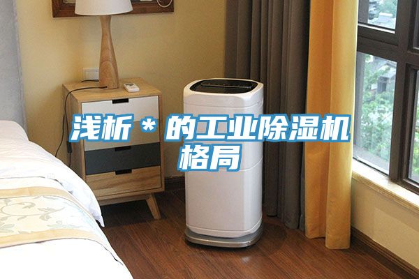 淺析*的工業除濕機格局