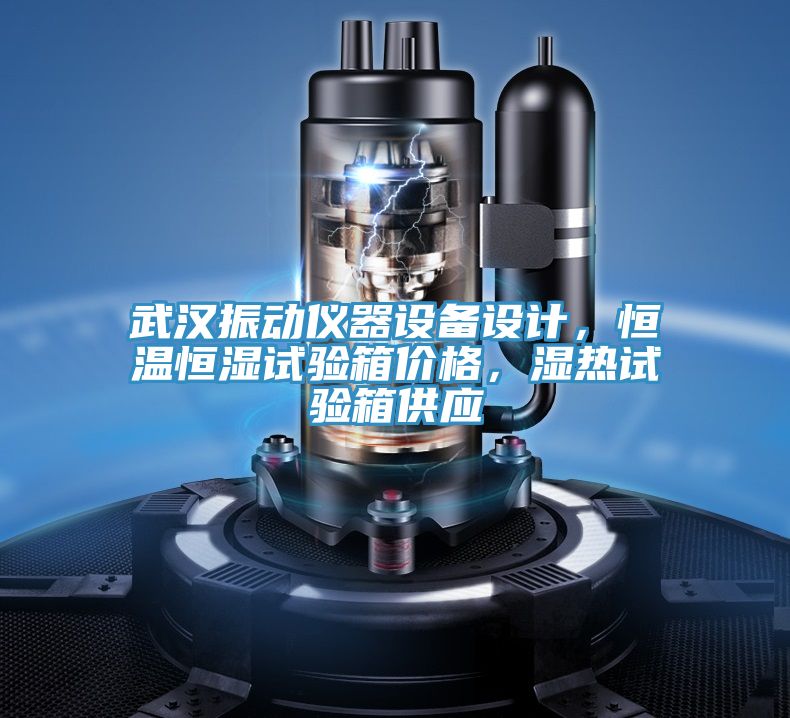 武漢振動(dòng)儀器設(shè)備設(shè)計(jì)，恒溫恒濕試驗(yàn)箱價(jià)格，濕熱試驗(yàn)箱供應(yīng)