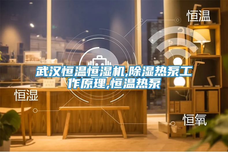 武漢恒溫恒濕機,除濕熱泵工作原理,恒溫?zé)岜?></div>
								<div   id=