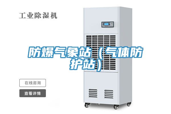 防爆氣象站(氣體防護站)