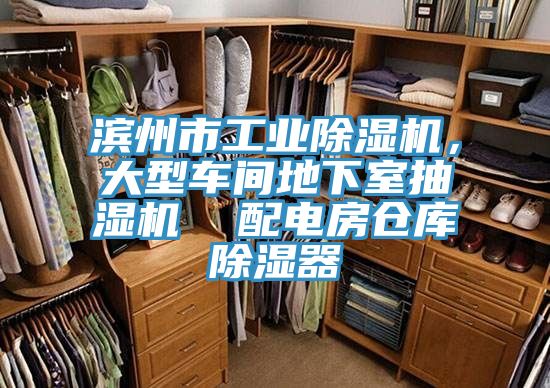 濱州市工業除濕機，大型車間地下室抽濕機  配電房倉庫除濕器