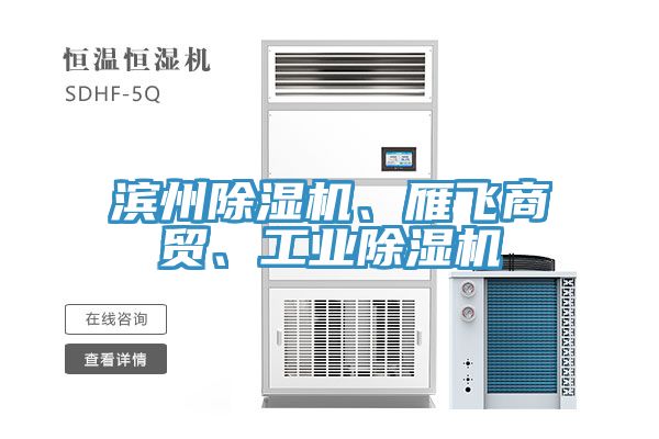濱州除濕機、雁飛商貿、工業除濕機