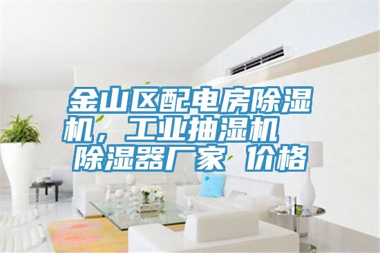 金山區配電房除濕機，工業抽濕機  除濕器廠家 價格