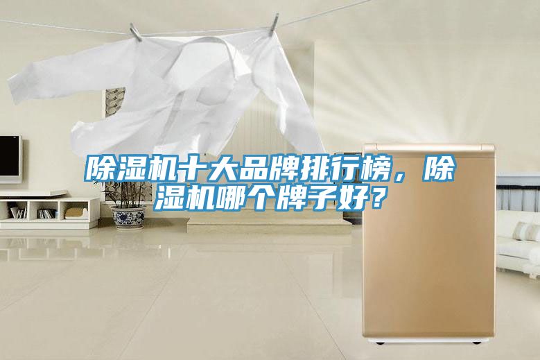 除濕機十大品牌排行榜，除濕機哪個牌子好？