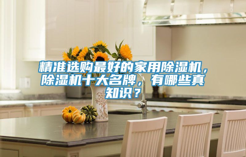 精準選購最好的家用除濕機，除濕機十大名牌，有哪些真知識？