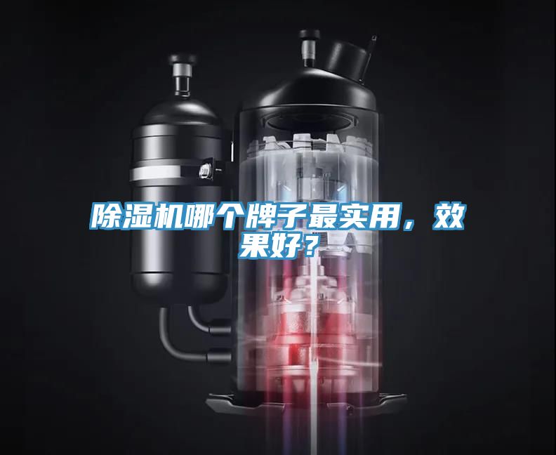除濕機(jī)哪個牌子最實用，效果好？