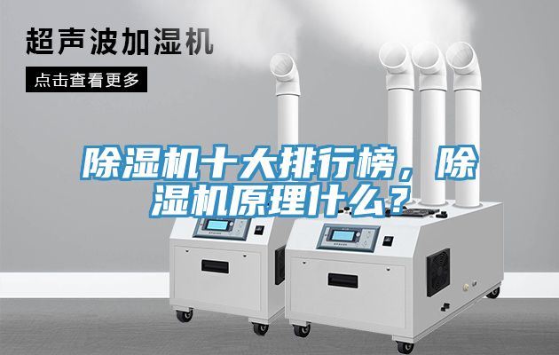 除濕機十大排行榜,除濕機原理什么?