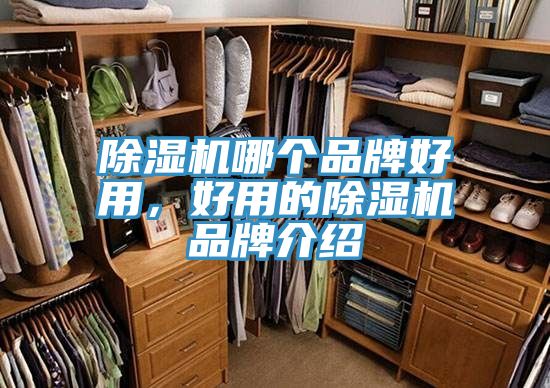 除濕機哪個品牌好用，好用的除濕機品牌介紹