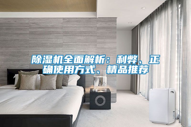 除濕機全面解析：利弊、正確使用方式、精品推薦