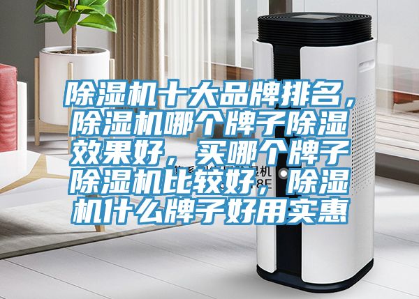 除濕機十大品牌排名，除濕機哪個牌子除濕效果好，買哪個牌子除濕機比較好，除濕機什么牌子好用實惠
