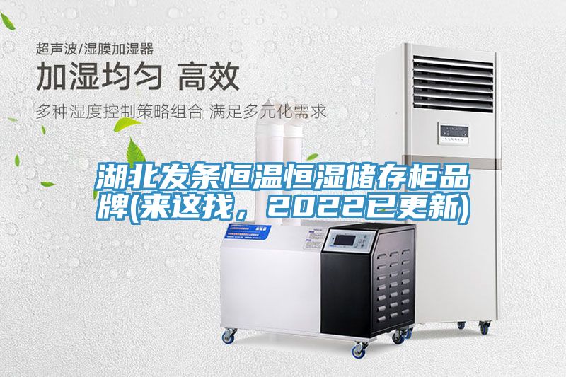 湖北發條恒溫恒濕儲存柜品牌(來這找,2022已更新)