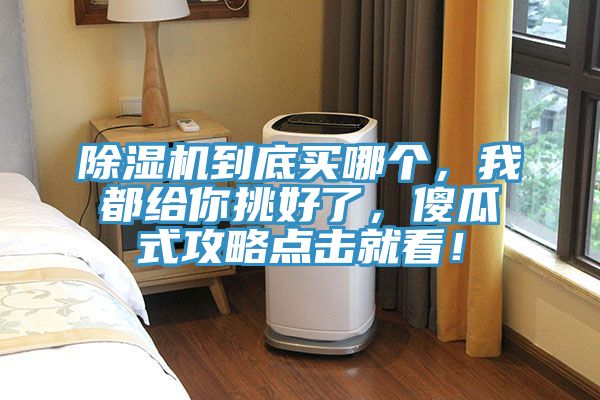 除濕機(jī)到底買哪個，我都給你挑好了，傻瓜式攻略點(diǎn)擊就看！