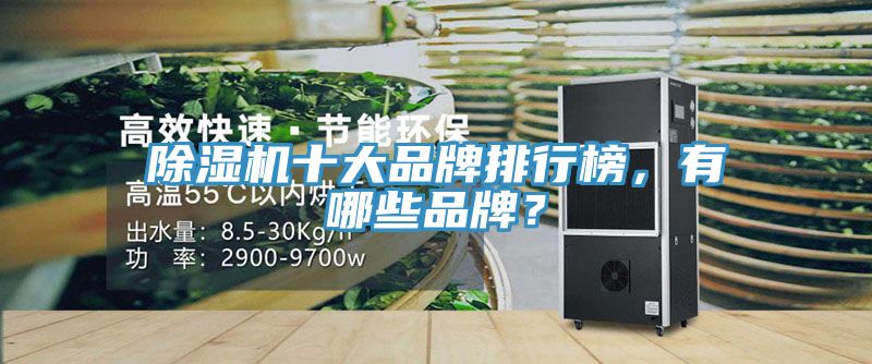 除濕機十大品牌排行榜，有哪些品牌？