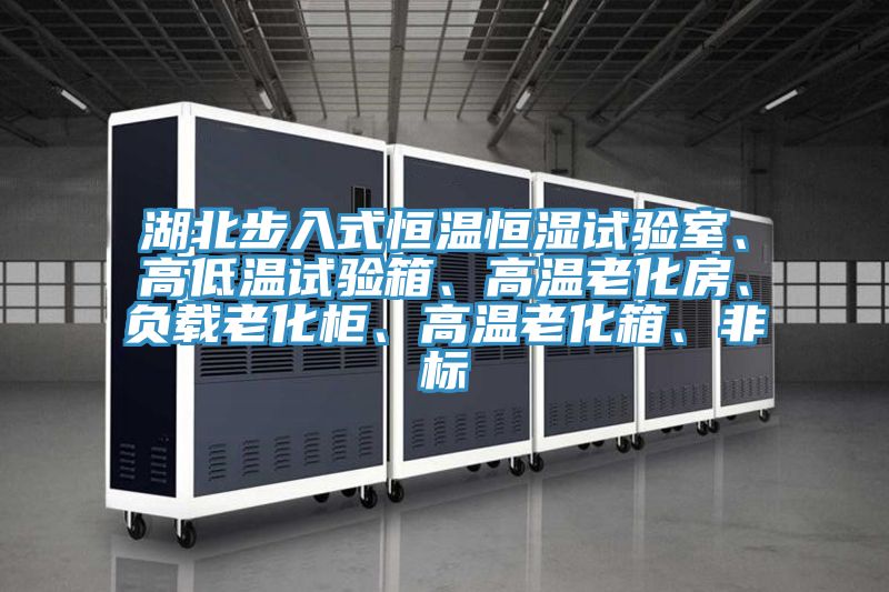 湖北步入式恒溫恒濕試驗(yàn)室、高低溫試驗(yàn)箱、高溫老化房、負(fù)載老化柜、高溫老化箱、非標(biāo)