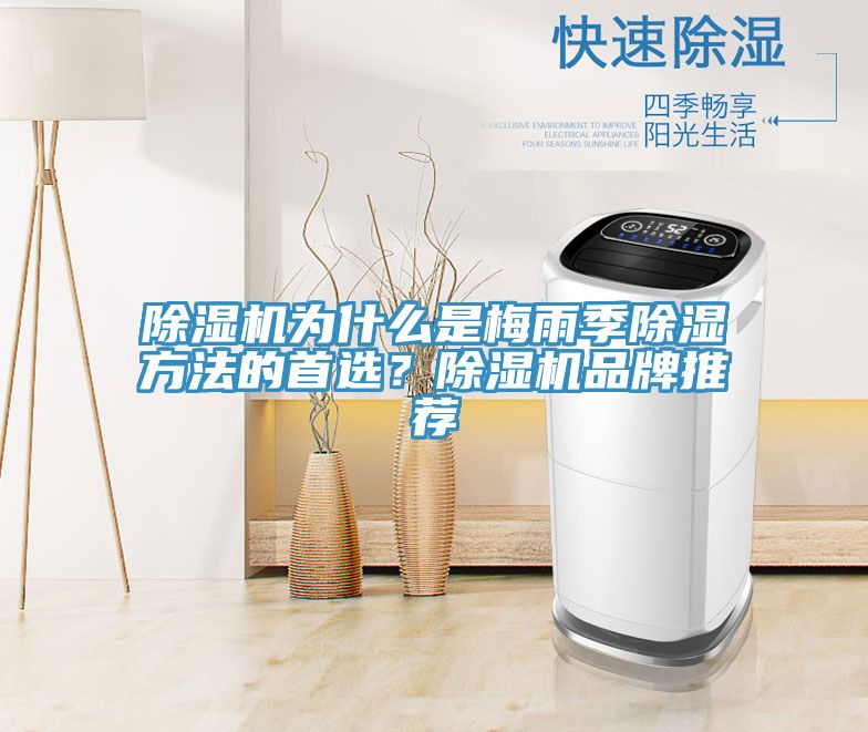 除濕機為什么是梅雨季除濕方法的首選?除濕機品牌推薦