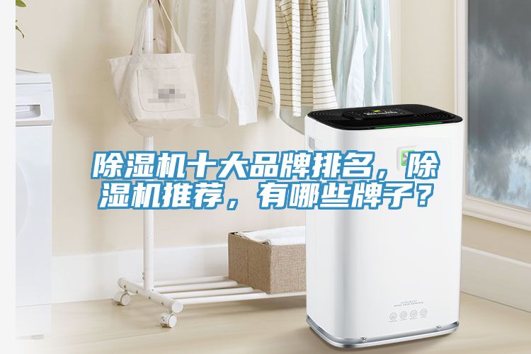 除濕機十大品牌排名，除濕機推薦，有哪些牌子？