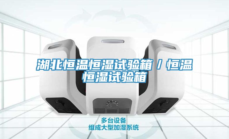 湖北恒溫恒濕試驗箱/恒溫恒濕試驗箱