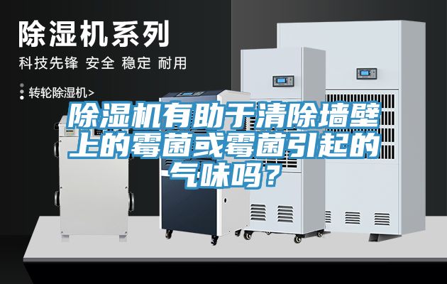 除濕機有助于清除墻壁上的霉菌或霉菌引起的氣味嗎?