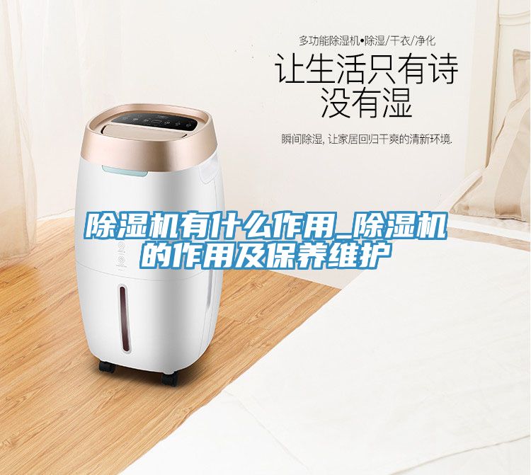 除濕機(jī)有什么作用_除濕機(jī)的作用及保養(yǎng)維護(hù)