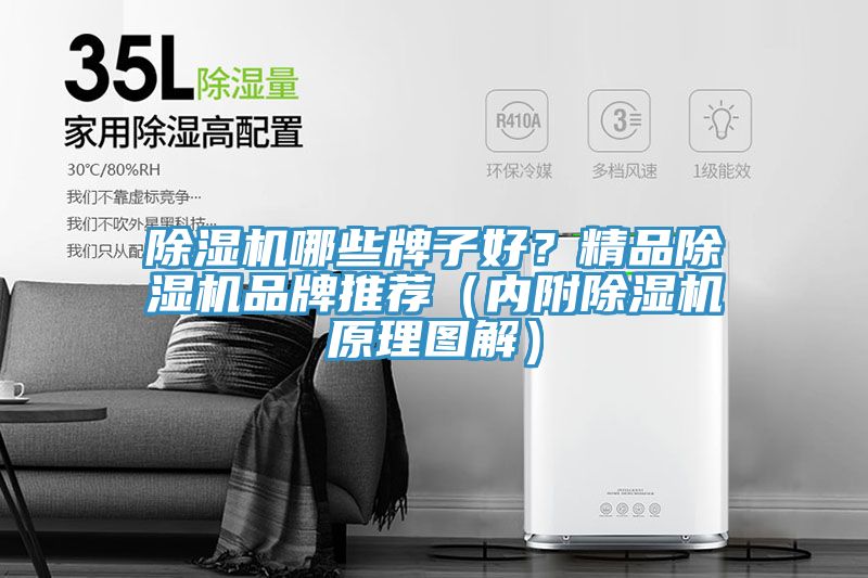 除濕機哪些牌子好?精品除濕機品牌推薦(內(nèi)附除濕機原理圖解)