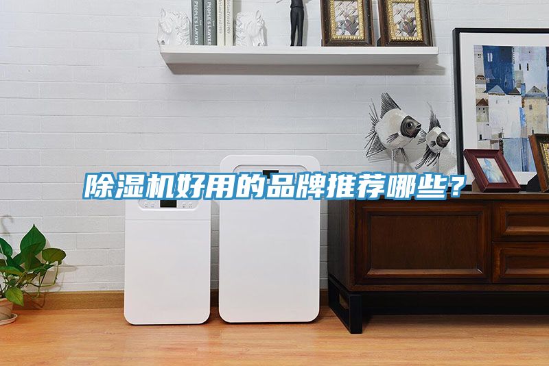 除濕機好用的品牌推薦哪些？