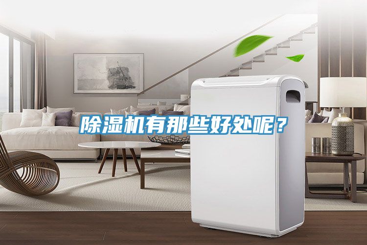 除濕機有那些好處呢？