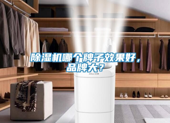 除濕機哪個牌子效果好,品牌大?