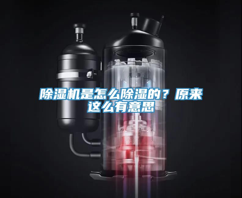 除濕機(jī)是怎么除濕的?原來(lái)這么有意思