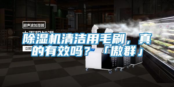 除濕機清潔用毛刷，真的有效嗎？「傲群」