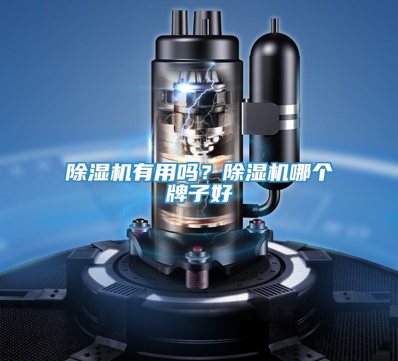 除濕機有用嗎？除濕機哪個牌子好
