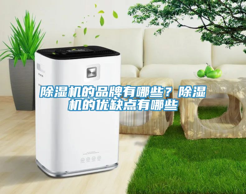 除濕機的品牌有哪些？除濕機的優缺點有哪些