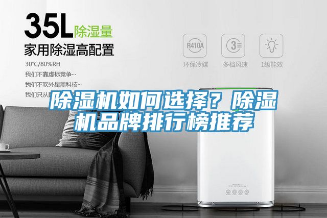 除濕機如何選擇？除濕機品牌排行榜推薦