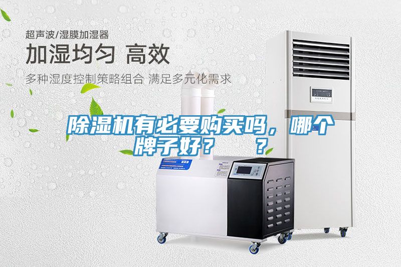 除濕機有必要購買嗎,哪個牌子好? ?