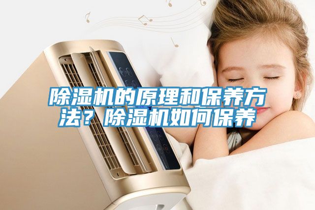 除濕機的原理和保養方法?除濕機如何保養