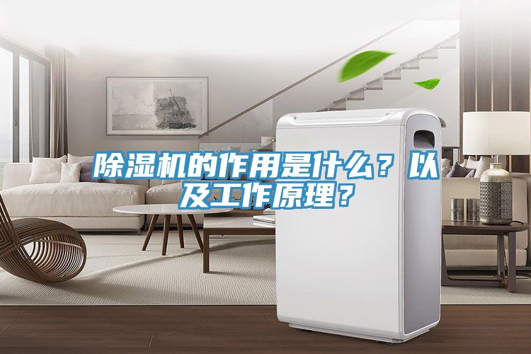 除濕機的作用是什么？以及工作原理？