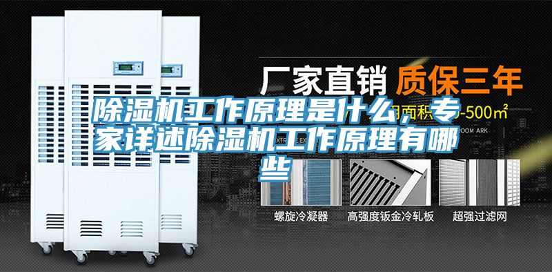 除濕機工作原理是什么，專家詳述除濕機工作原理有哪些