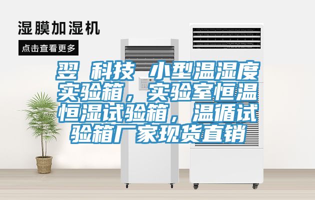 翌昇科技 小型溫濕度實驗箱,實驗室恒溫恒濕試驗箱,溫循試驗箱廠家現貨直銷