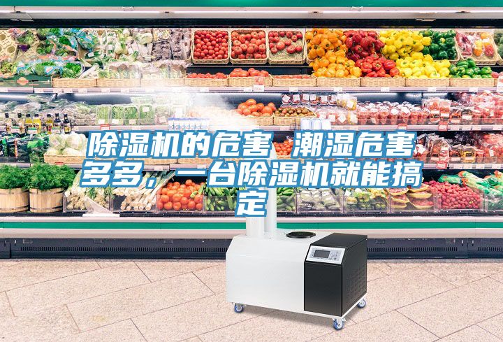除濕機的危害 潮濕危害多多,一臺除濕機就能搞定