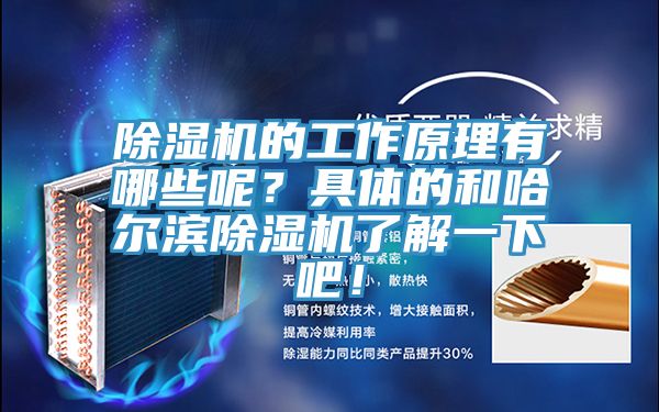 除濕機(jī)的工作原理有哪些呢？具體的和哈爾濱除濕機(jī)了解一下吧！