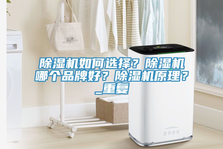 除濕機如何選擇？除濕機哪個品牌好？除濕機原理？_重復
