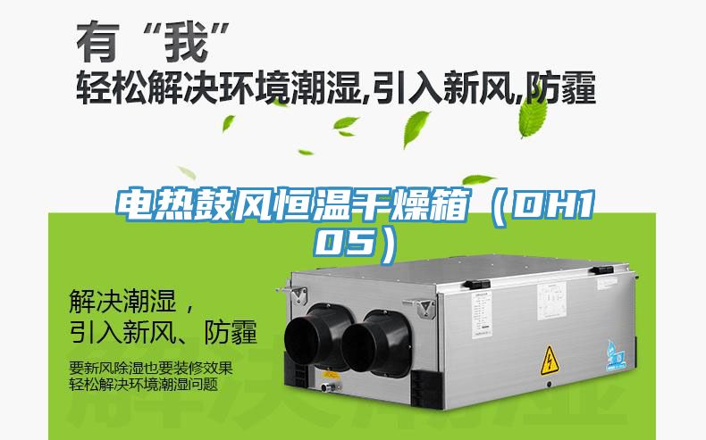 電熱鼓風恒溫干燥箱（DH105）