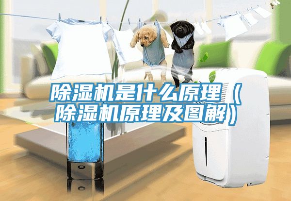 除濕機(jī)是什么原理(除濕機(jī)原理及圖解)