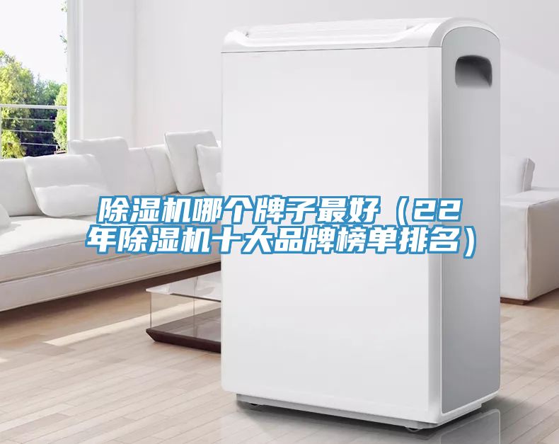 除濕機哪個牌子最好(22年除濕機十大品牌榜單排名)
