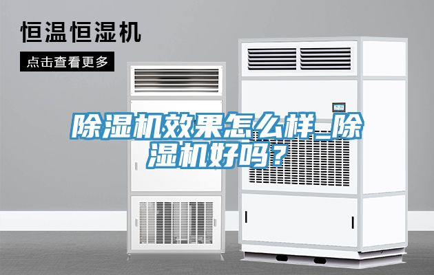 除濕機效果怎么樣_除濕機好嗎?