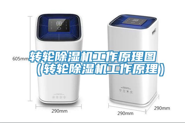 轉輪除濕機工作原理圖(轉輪除濕機工作原理)