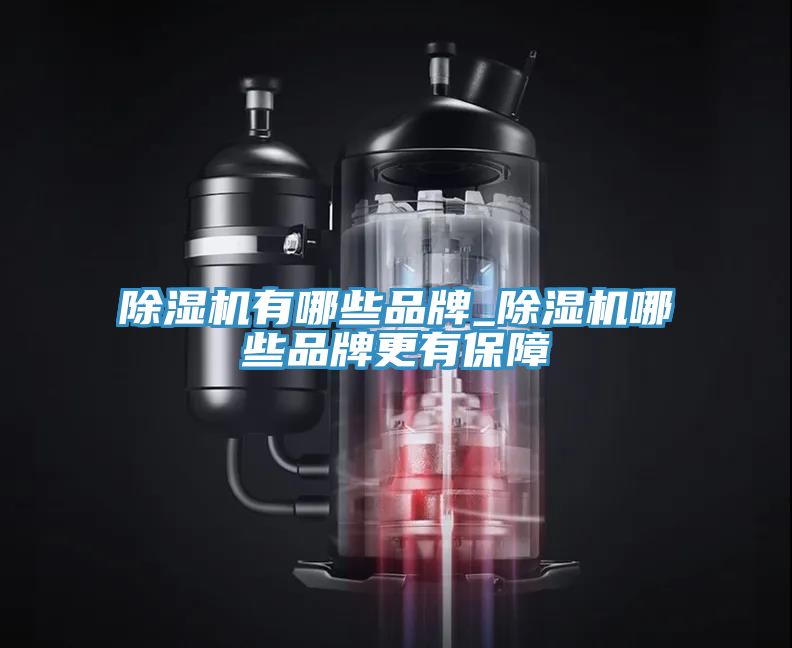 除濕機有哪些品牌_除濕機哪些品牌更有保障